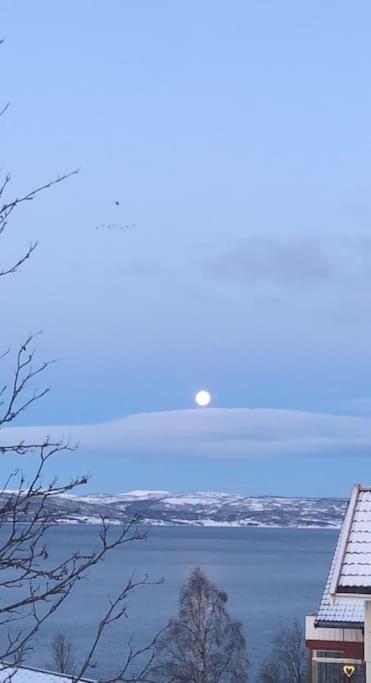 Gateway Senja Διαμέρισμα Finnsnes Εξωτερικό φωτογραφία